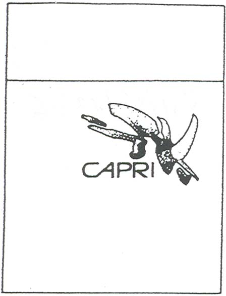 Paraqitja e markës Capri