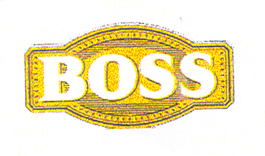 Paraqitja e markës BOSS