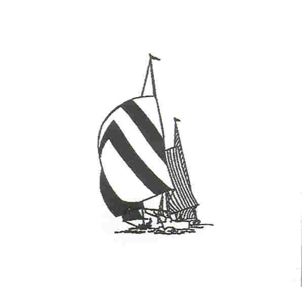 Paraqitja e markës SAILING