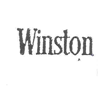 Paraqitja e markës WINSTON