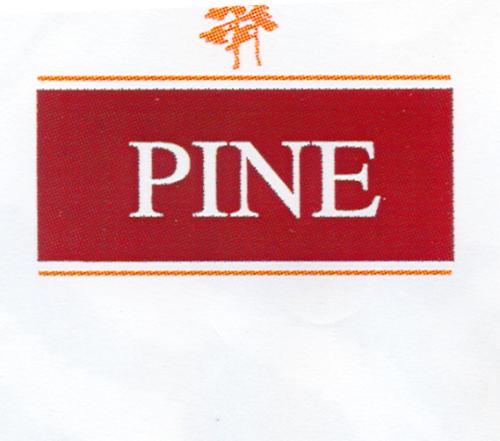 Paraqitja e markës PINE