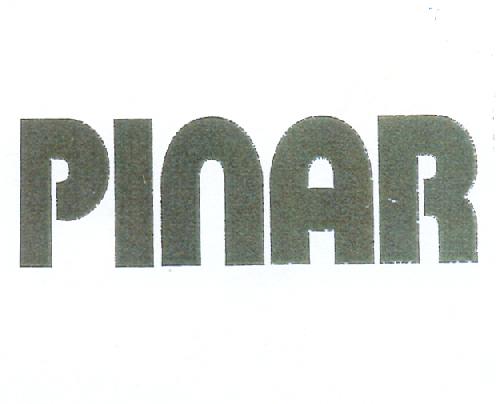 Paraqitja e markës PINAR