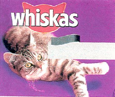 Paraqitja e markës WHISKAS