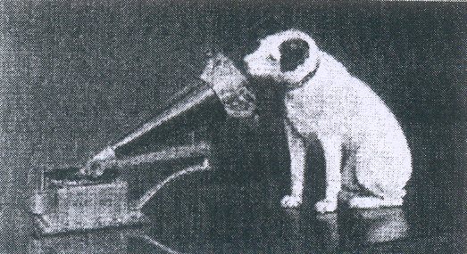Paraqitja e markës DOG PICTURE