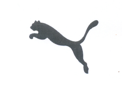 Paraqitja e markës PUMA