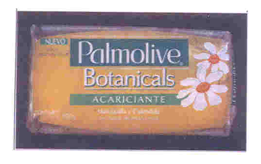 Paraqitja e markës PALMOLIVE BOTANICALS