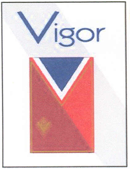 Paraqitja e markës VIGOR