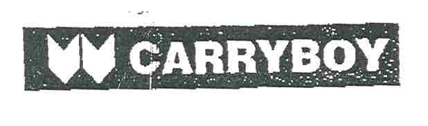 Paraqitja e markës CARRYBOY