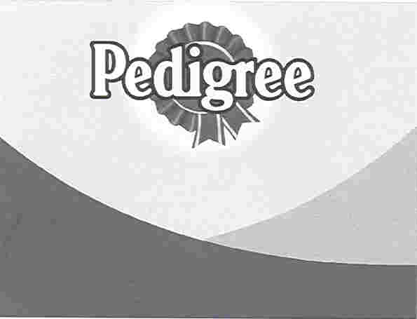 Paraqitja e markës PEDIGREE