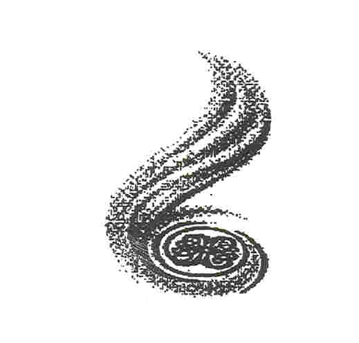 Paraqitja e markës BB SWIRL