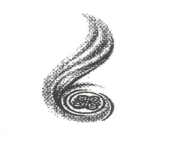 Paraqitja e markës BB SWIRL