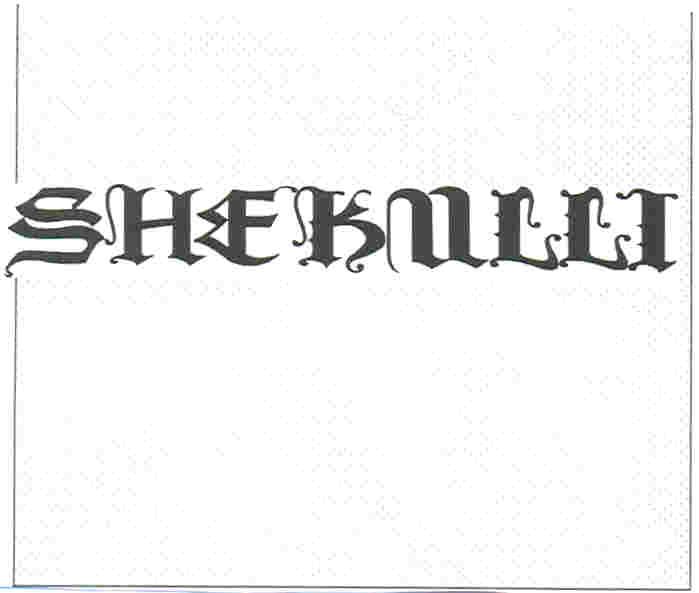 Paraqitja e markës SHEKULLI