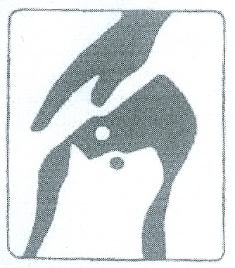 Paraqitja e markës AL/T/2001/495