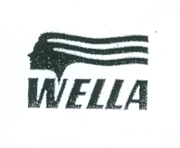 Paraqitja e markës WELLA