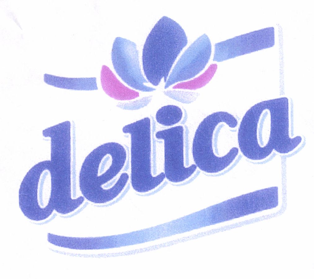 Paraqitja e markës DELICA