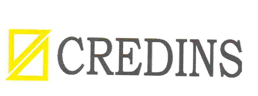 Paraqitja e markës CREDINS