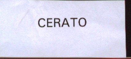 Paraqitja e markës CERATO
