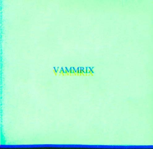 Paraqitja e markës VAMMRIX
