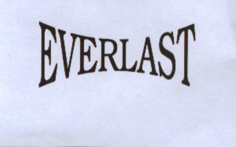 Paraqitja e markës EVERLAST