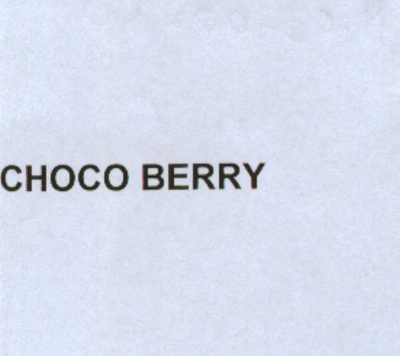 Paraqitja e markës CHOCO BERRY