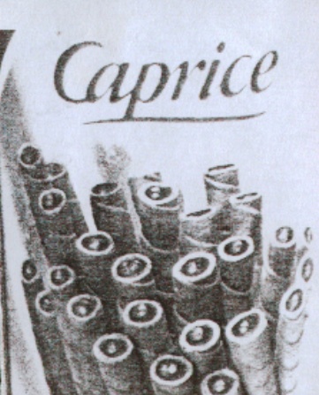 Paraqitja e markës CAPRICE