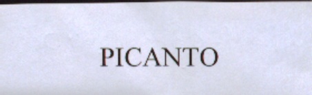 Paraqitja e markës PICANTO