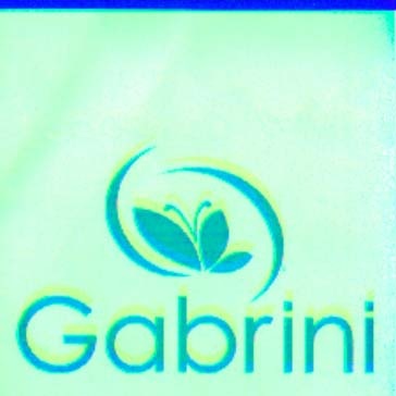 Paraqitja e markës GABRINI