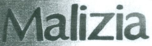 Paraqitja e markës MALIZIA