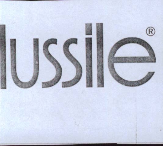 Paraqitja e markës LUSSILE