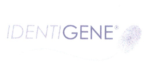 Paraqitja e markës IDENTIGENE