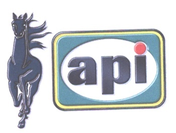 Paraqitja e markës API