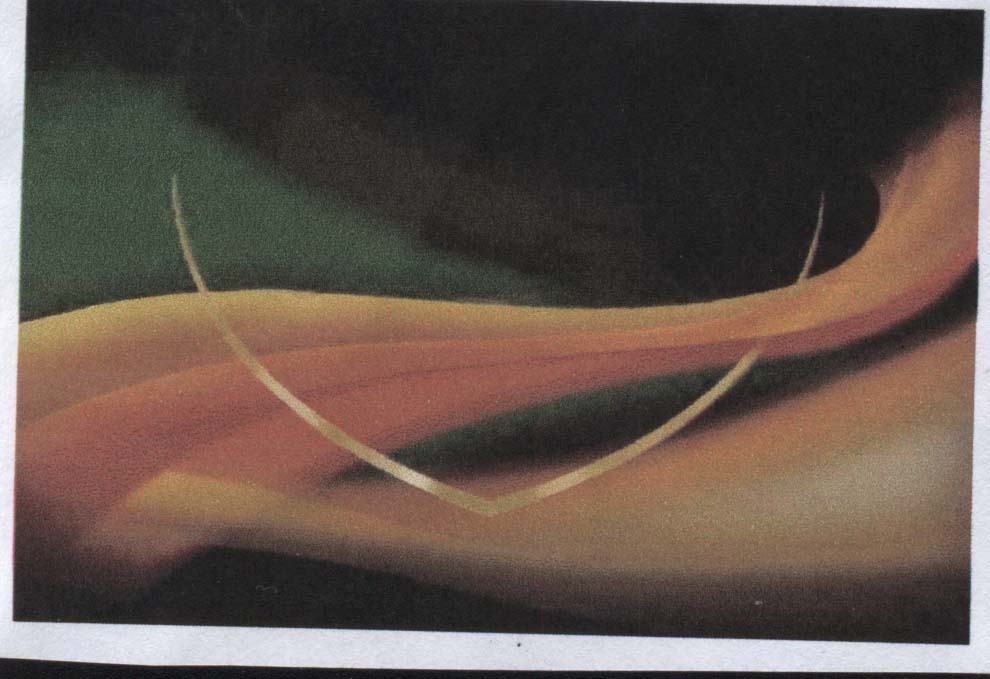 Paraqitja e markës AL/T/2004/31