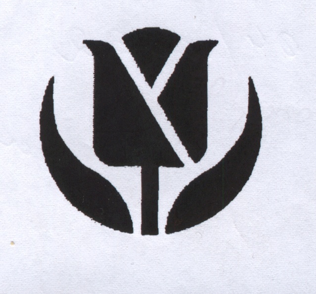 Paraqitja e markës TULIP