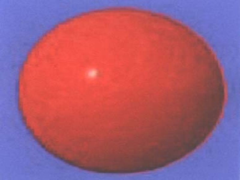 Paraqitja e markës AL/T/2005/238