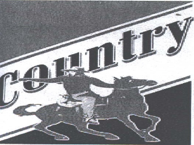 Paraqitja e markës CONTRY
