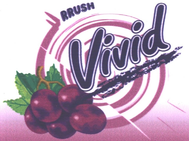 Paraqitja e markës VIVID VORBULL RRUSH