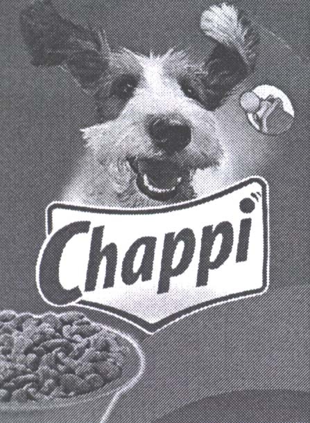 Paraqitja e markës CHAPPI