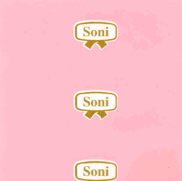 Paraqitja e markës SONI