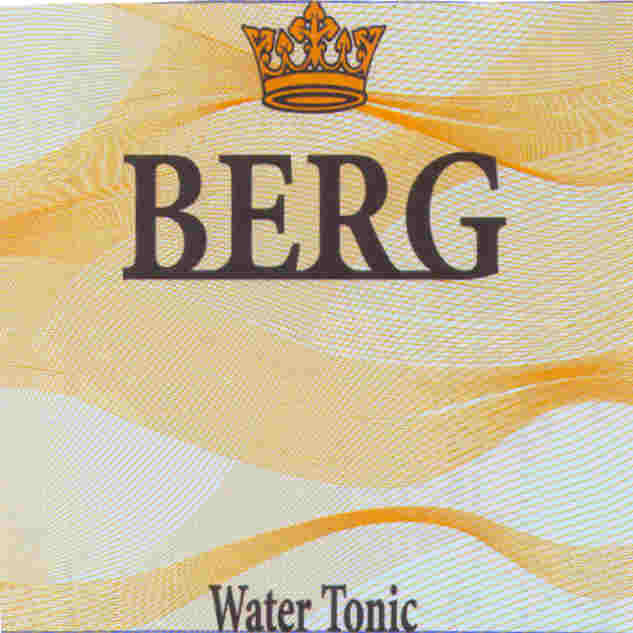 Paraqitja e markës BERG