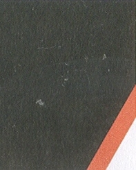 Paraqitja e markës AL/T/2006/61