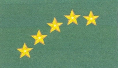 Paraqitja e markës ARIEL