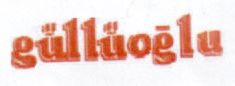 Paraqitja e markës GÜLLÜOGLU