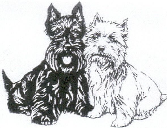 Paraqitja e markës TWO DOGS