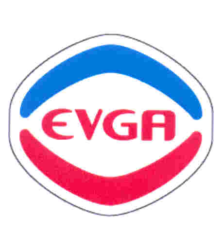 Paraqitja e markës EVGA