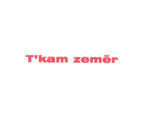 Paraqitja e markës T'KAM ZEMER