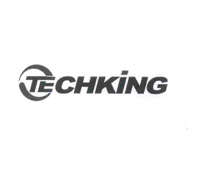 Paraqitja e markës TECHKING