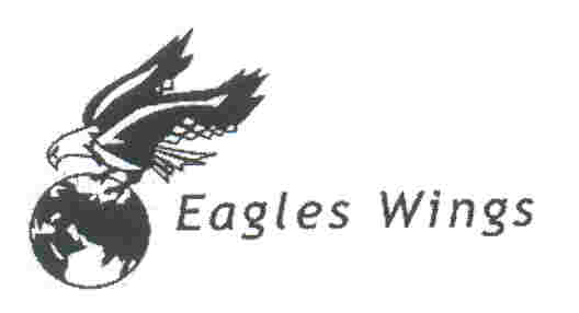 Paraqitja e markës EAGLES WINGS & DEVICE