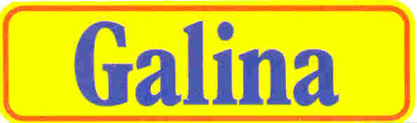 Paraqitja e markës GALINA