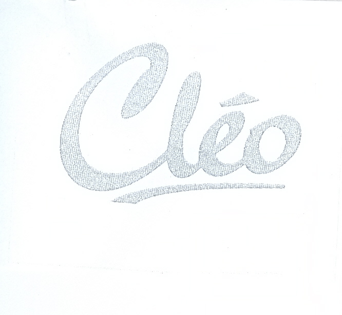 Paraqitja e markës CLEO