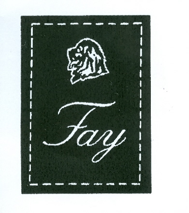 Paraqitja e markës FAY